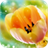 Tulip Wallpaper icon