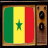 TV From Senegal Info icon