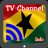 TV Ghana Info Channel icon
