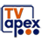 TVapex Broadcaster icon