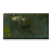3D Koi Fish Pond icon