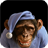 3D Monkey Live Wallpaper version 5.0