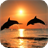 Amazing Dolphins HD icon
