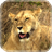 Animals of Africa Video LWP icon