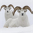 ImagesOfAnimals icon