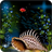 aquarium APK Download