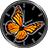 Beautiful Butterfly Widget icon