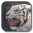 Bengal White Tiger icon