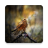 Birds of prey icon