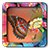 Butterfly Frames Editor Pro icon