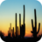 Cactus Wallpapers icon