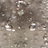 Real Water Bubbles Theme icon