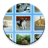 Cats Collection icon