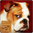 Bulldog Dog icon