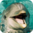 Cute Dolphins icon