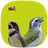 Pássaros de Fibra 1.24