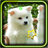 Cute Puppies HD live wallpaper icon