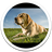 Dogs Life Live Wallpaper icon