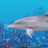 Dolphin Ocean 360°Trial icon
