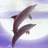 Dolphin-RYUKYU HEALING Free APK Download