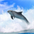 Dolphins 3D icon