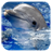 Dolphins. Video Wallpaper icon