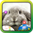 Easter Bunny live wallpaper icon