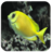 Fish HD Wallpapers icon