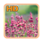 Flowers Live Wallpapers icon