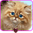 Fluffy cat APK Download