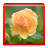 Fresh Flowers Images icon