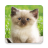 HD Animals Images icon