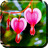 Heart Flower Live Wallpaper icon