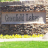 Greenfield Lakes AZ icon