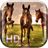 Horses Live Wallpaper HD version 1.2.2