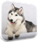 Husky Licks Screen Live Wallpaper icon