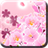 Japanese Sakura icon