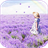Lavender 1.4