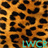 Leopard Print live wallpaper version 1.0.6