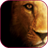 Lions Wallpaper icon