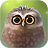 Little Owl Lite APK Download