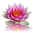 Lotus Live Wallpaper APK Download