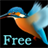 Kingfisher Trial icon