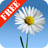 Lovely Daisies Free icon