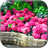 Magic Garden Live Wallpaper APK Download