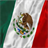 Mexico Flag Selfie P icon