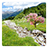 Mountain Stream Live Wallpaper icon