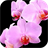 Orchid Live Wallpaper APK Download