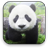 Panda Free Video Wallpaper icon