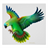 Parrat Bird HD Wallpaper icon